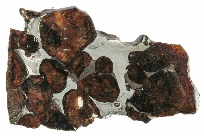 Sericho Pallasite Meteorite ( g) Slice - Kenya #346446